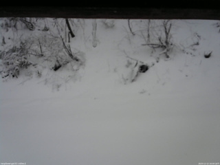 長野県菅平高原 ゆたか山荘 南側 2025/12/12 16:00