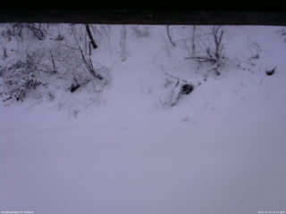 長野県菅平高原 ゆたか山荘 南側 2025/12/13 14:15