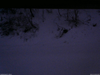 長野県菅平高原 ゆたか山荘 南側 2025/12/14 06:30