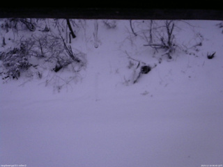 長野県菅平高原 ゆたか山荘 南側 2025/12/14 06:45