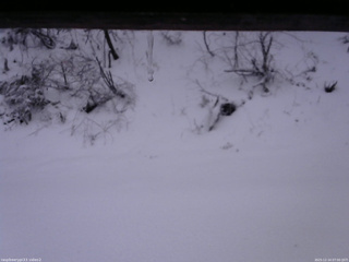 長野県菅平高原 ゆたか山荘 南側 2025/12/14 07:00