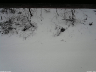 長野県菅平高原 ゆたか山荘 南側 2025/12/14 07:15