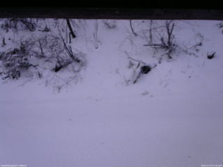 長野県菅平高原 ゆたか山荘 南側 2025/12/14 07:30