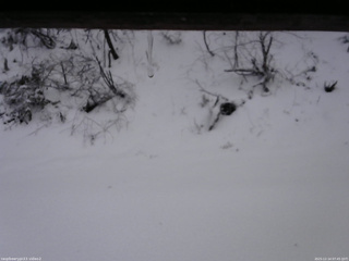 長野県菅平高原 ゆたか山荘 南側 2025/12/14 07:45