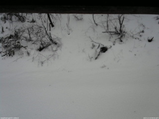 長野県菅平高原 ゆたか山荘 南側 2025/12/14 08:00