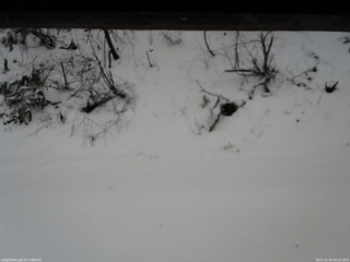 長野県菅平高原 ゆたか山荘 南側 2025/12/14 09:15