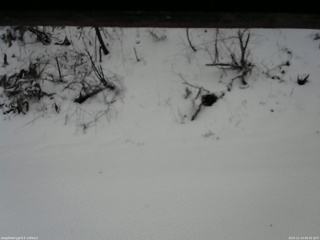 長野県菅平高原 ゆたか山荘 南側 2025/12/14 09:30