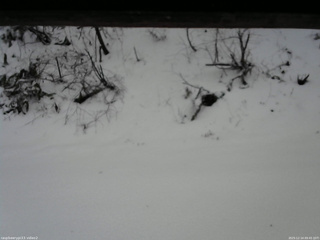 長野県菅平高原 ゆたか山荘 南側 2025/12/14 09:45