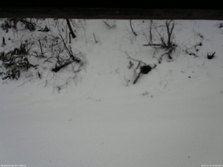 長野県菅平高原 ゆたか山荘 南側 2025/12/14 10:00