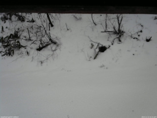 長野県菅平高原 ゆたか山荘 南側 2025/12/14 10:15