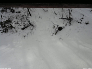 長野県菅平高原 ゆたか山荘 南側 2025/12/14 10:30