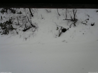 長野県菅平高原 ゆたか山荘 南側 2025/12/14 10:45