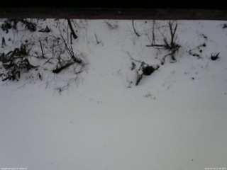 長野県菅平高原 ゆたか山荘 南側 2025/12/14 11:00