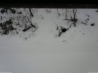 長野県菅平高原 ゆたか山荘 南側 2025/12/14 11:15