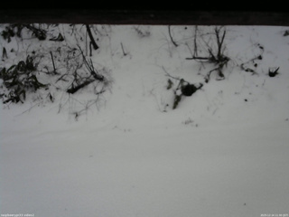 長野県菅平高原 ゆたか山荘 南側 2025/12/14 11:30