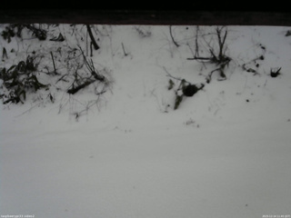 長野県菅平高原 ゆたか山荘 南側 2025/12/14 11:45