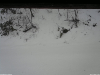 長野県菅平高原 ゆたか山荘 南側 2025/12/14 12:00