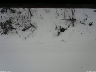 長野県菅平高原 ゆたか山荘 南側 2025/12/14 12:15