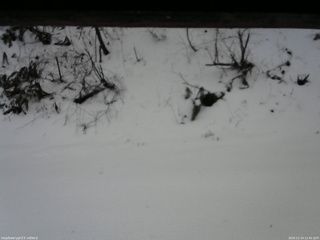 長野県菅平高原 ゆたか山荘 南側 2025/12/14 12:45