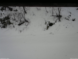 長野県菅平高原 ゆたか山荘 南側 2025/12/14 13:00