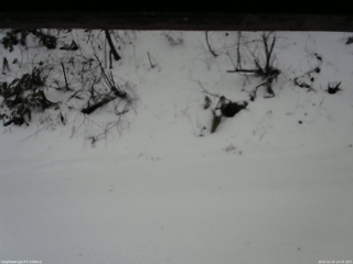 長野県菅平高原 ゆたか山荘 南側 2025/12/14 13:15