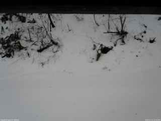 長野県菅平高原 ゆたか山荘 南側 2025/12/14 13:30