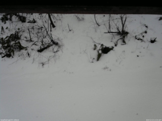 長野県菅平高原 ゆたか山荘 南側 2025/12/14 13:45