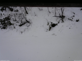 長野県菅平高原 ゆたか山荘 南側 2025/12/14 14:00