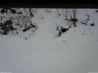 長野県菅平高原 ゆたか山荘 南側 2025/12/14 14:15