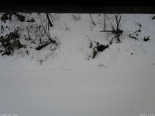 長野県菅平高原 ゆたか山荘 南側 2025/12/14 14:30