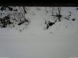 長野県菅平高原 ゆたか山荘 南側 2025/12/14 15:00