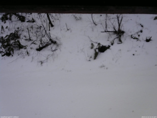 長野県菅平高原 ゆたか山荘 南側 2025/12/14 15:15