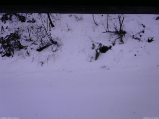 長野県菅平高原 ゆたか山荘 南側 2025/12/14 15:30