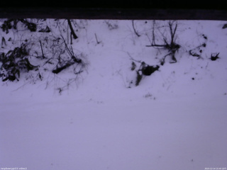 長野県菅平高原 ゆたか山荘 南側 2025/12/14 15:45