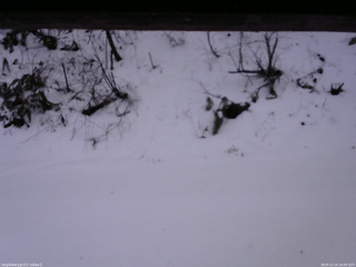 長野県菅平高原 ゆたか山荘 南側 2025/12/14 16:00