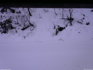 長野県菅平高原 ゆたか山荘 南側 2025/12/14 16:15