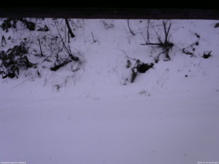 長野県菅平高原 ゆたか山荘 南側 2025/12/14 16:30