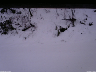 長野県菅平高原 ゆたか山荘 南側 2025/12/14 16:45