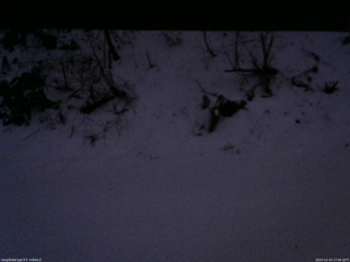 長野県菅平高原 ゆたか山荘 南側 2025/12/14 17:00