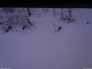 長野県菅平高原 ゆたか山荘 南側 2025/12/16 06:30