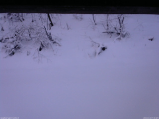 長野県菅平高原 ゆたか山荘 南側 2025/12/16 07:30