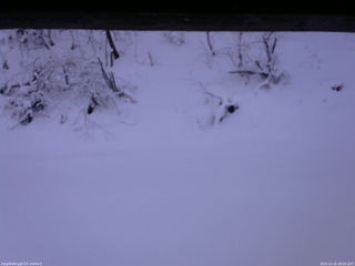 長野県菅平高原 ゆたか山荘 南側 2025/12/16 08:00