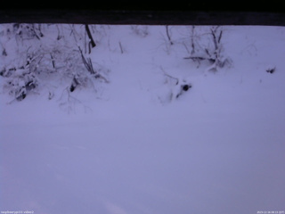 長野県菅平高原 ゆたか山荘 南側 2025/12/16 08:15