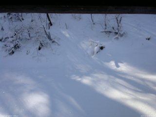 長野県菅平高原 ゆたか山荘 南側 2025/12/16 09:30