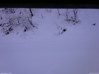 長野県菅平高原 ゆたか山荘 南側 2025/12/16 13:30