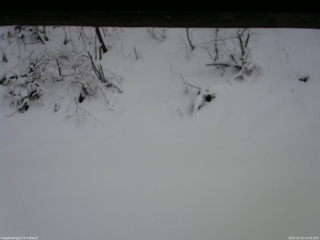 長野県菅平高原 ゆたか山荘 南側 2025/12/16 14:30