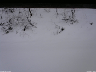 長野県菅平高原 ゆたか山荘 南側 2025/12/16 15:15