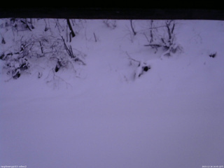 長野県菅平高原 ゆたか山荘 南側 2025/12/16 16:45