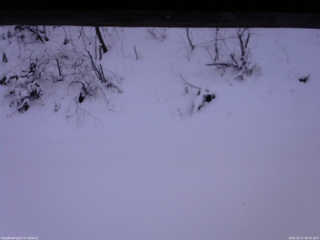 長野県菅平高原 ゆたか山荘 南側 2025/12/17 06:45