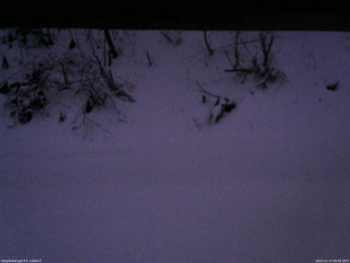 長野県菅平高原 ゆたか山荘 南側 2025/12/17 09:45